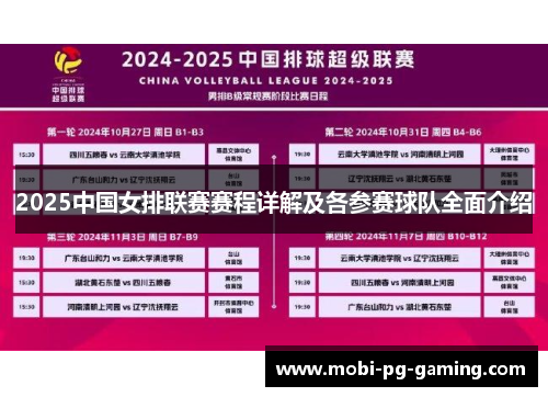 2025中国女排联赛赛程详解及各参赛球队全面介绍