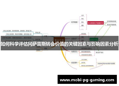 如何科学评估冈萨雷斯转会价值的关键因素与影响因素分析