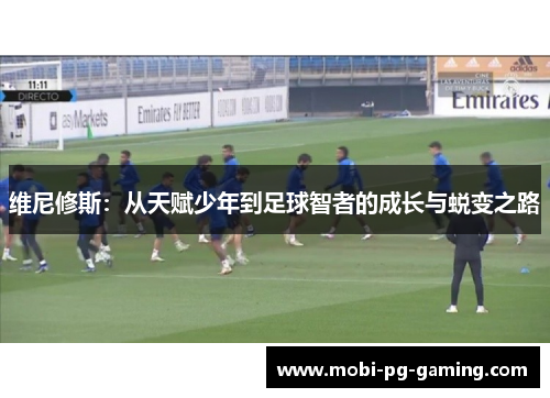 维尼修斯：从天赋少年到足球智者的成长与蜕变之路