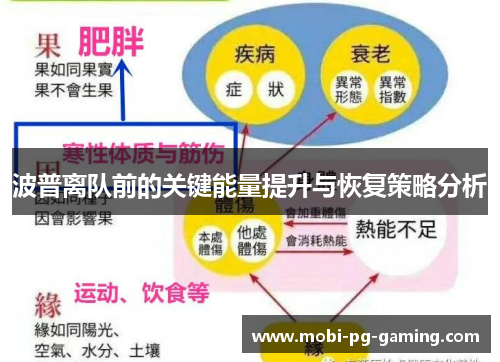 波普离队前的关键能量提升与恢复策略分析