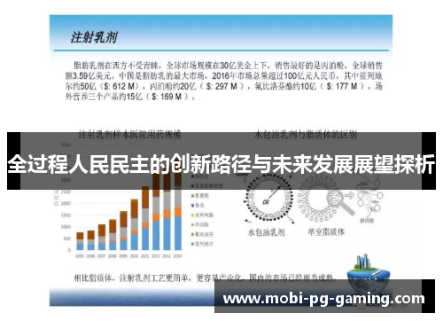 全过程人民民主的创新路径与未来发展展望探析