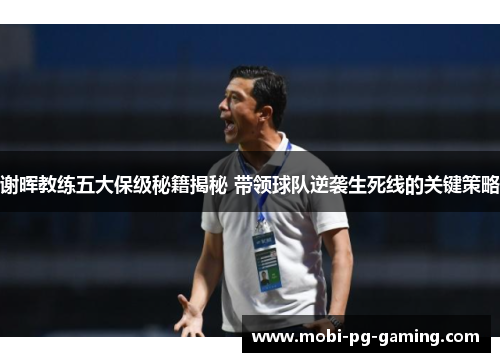 谢晖教练五大保级秘籍揭秘 带领球队逆袭生死线的关键策略