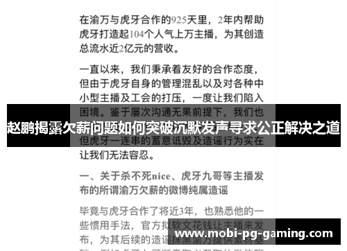 赵鹏揭露欠薪问题如何突破沉默发声寻求公正解决之道
