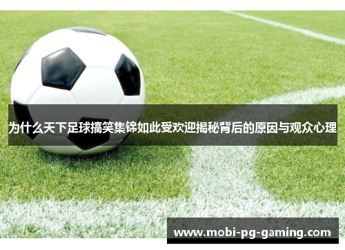 为什么天下足球搞笑集锦如此受欢迎揭秘背后的原因与观众心理