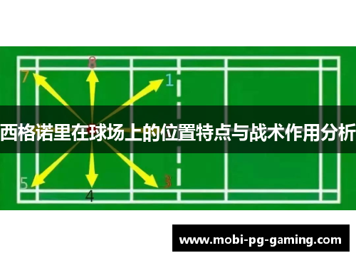 西格诺里在球场上的位置特点与战术作用分析