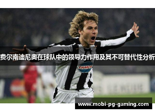 费尔南迪尼奥在球队中的领导力作用及其不可替代性分析