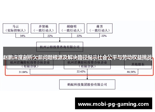 赵鹏深度剖析欠薪问题根源及解决路径揭示社会公平与劳动权益挑战