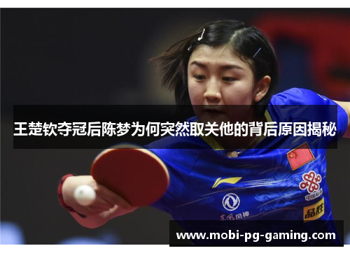 王楚钦夺冠后陈梦为何突然取关他的背后原因揭秘