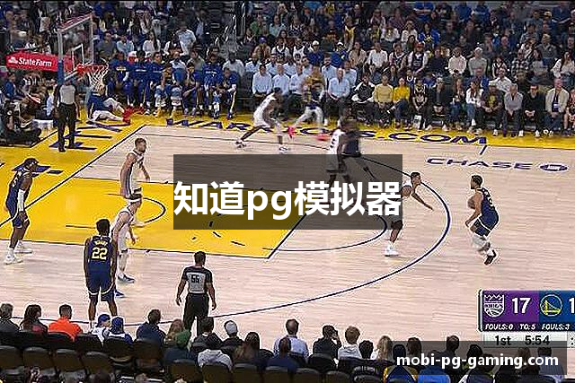 知道pg模拟器